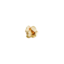Pirots 2 popcornsymbool